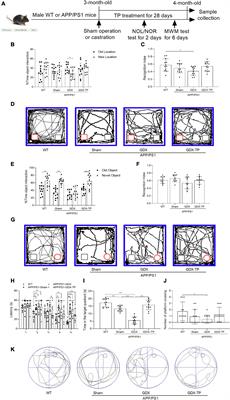 Testosterone deficiency worsens mitochondrial dysfunction in APP/PS1 mice